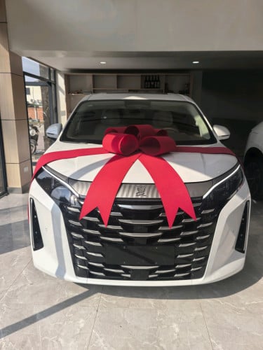 BYD XIA DM-i 1.5T 180km top option