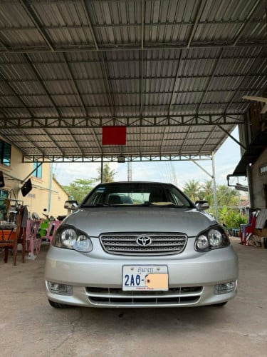 Corolla LE 04 ឡានកាលី មេឡានសានុំ