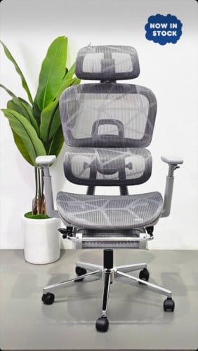 Ergonomics Chair