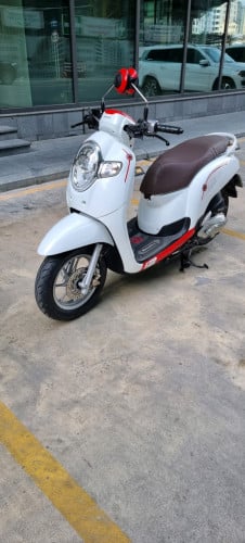 Honda scoopy 2020