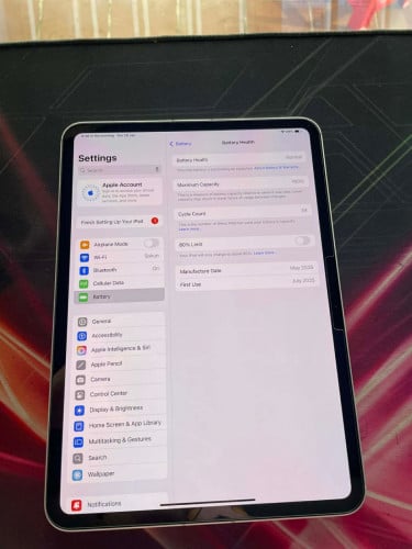 iPad M4 256G WiFi+5G 99%