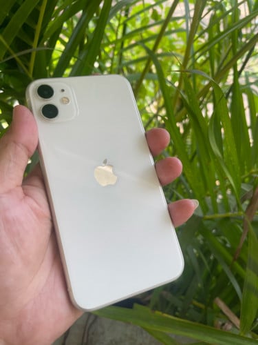 iPhone 11 Zin all របស់ក្មេងស្រីប្រើសានុំស្រុិនស្អាត98%