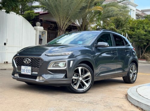 Kona . 2019 . ហ្វូល​ ម្ចាស់ដើមផ្ទាល់​