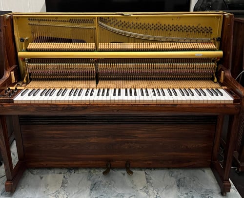 YAMAHA Half Acoustic Half Eletric