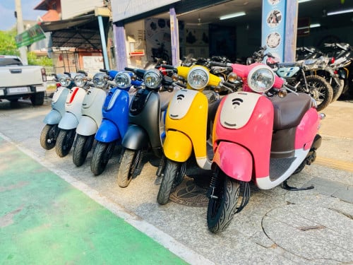 មានស្តុក គ្រប់ពណ៍