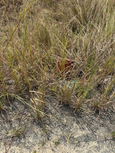 ដីឡូតិ៍លក់មុខផ្សារព្រែកជ្រៃ