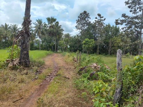 ដីសម្រាប់លក់