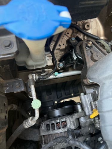 ម្ចាស់ដើមទីមួយ