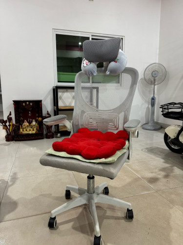 កៅអី ឡៃឡុង 30$