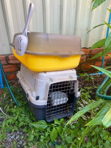 50$លក់ទាំងអស់