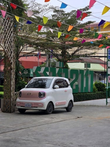 Bestine pony EV 150km