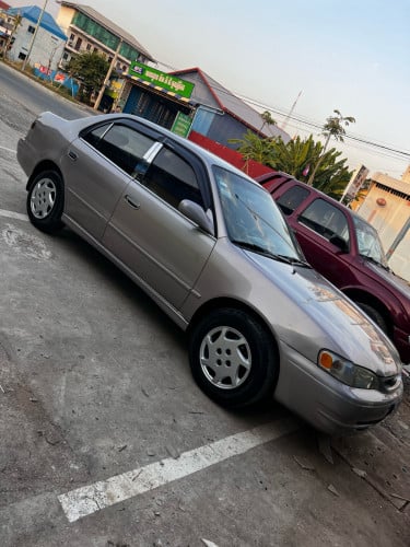 Corolla98 សាច់ថ្មី081736212