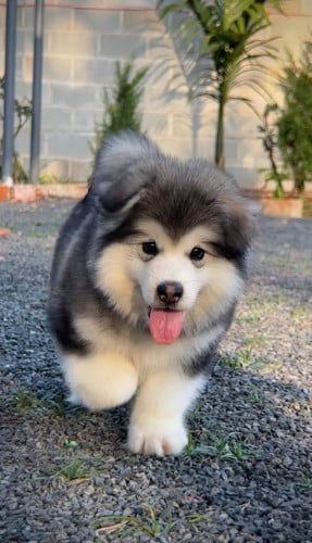 Discount a lot customer cancel order