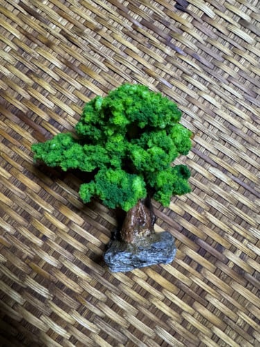 Drift wood tree 14x9x14