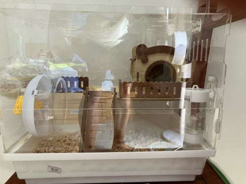 Hamster cage