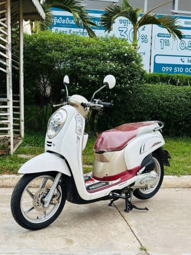 Honda Scoopy i014 ម៉ាស៊ីនតាន់ហាប់នែនស្ងាត់ជិះស្រួលស្ទុះមិនលាន់មិនហុយមានពន្ធកាតគ្រឺ