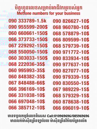 Metfone for your business