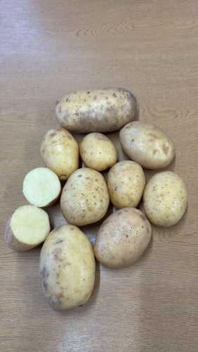 Potatoes from the United Kingdom in bulk