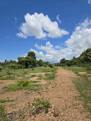 ដីសម្រាប់លក់