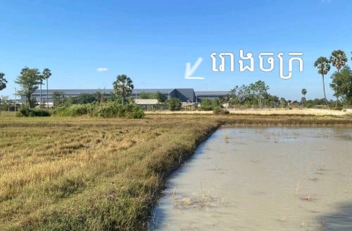 ដីលក់