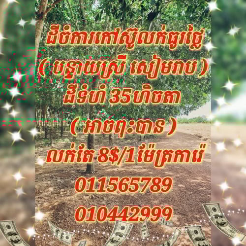 ដីលក់