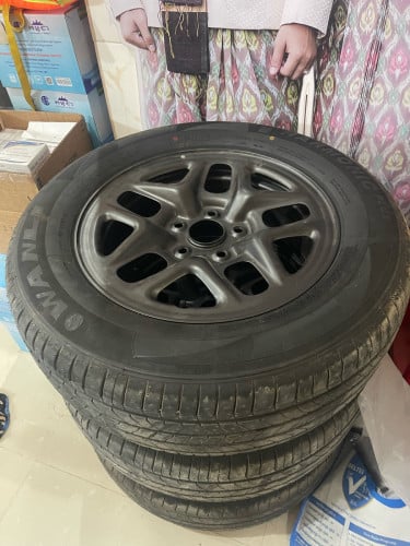 យ៉ាន់និងសំបកថ្មីដូចខ្លាញ់គោ