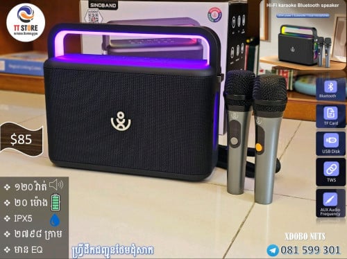 បាសច្រៀងក្រោម100$