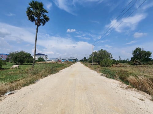 ដីលក់ចុះ200ម ពីផ្លូវព្រៃស