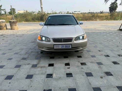 ឆ្លាមឆ្នាំ 2001 កាលី