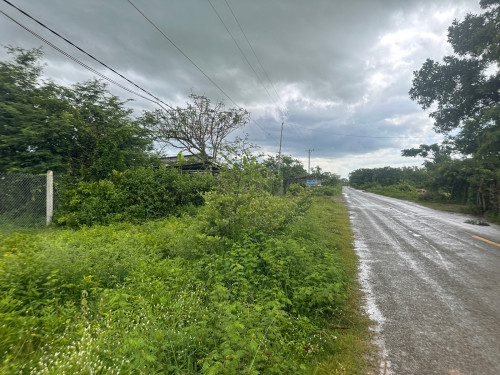 ដីលក់ជាប់ថ្នល់កៅស៊ូ 7km ពីក្រុងបាត់ដំបង