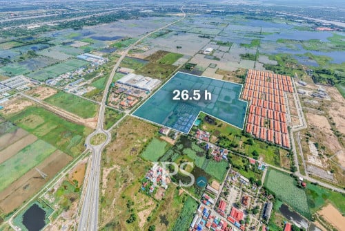 #LandForSale : ដីសម្រាប់លក់ 26.5 ហិកតា 📍ក្រុងតាខ្មៅ ខេត្តកណ្ដាល