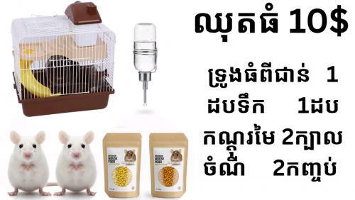 ទាក់ទងមកបានតាម 