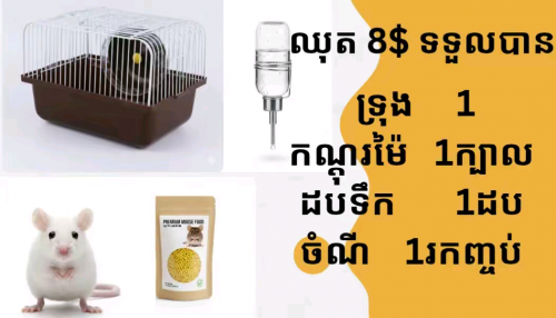 ទាក់ទងមកបានតាម 