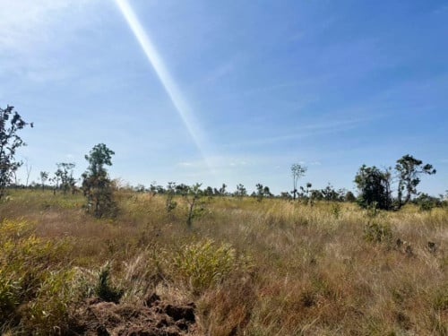 🏦Land Available for Urgent Sale at a Special Price (Negotiable).