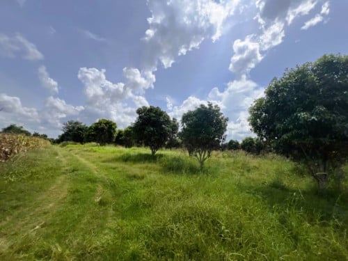 🏦Land Available for Urgent Sale at a Special Price (Negotiable).