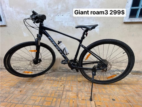 Giant roam 3