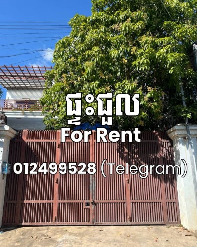 House for Rent, Free Wifi