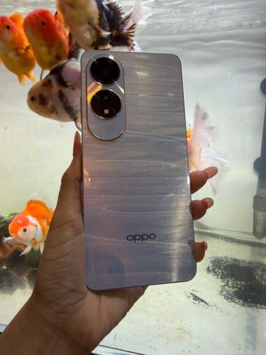 Oppo A60 1ទឹក 99%