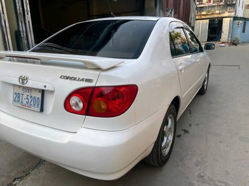 ស្រុីនមួយជុំម្ចាស់ដើមបងប្អូនកង់ថ្មីទាំងបួន