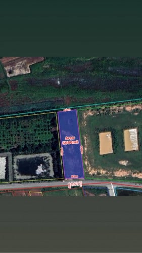 ដីលក់ក្រោយស្តាតមរតកតេជោ