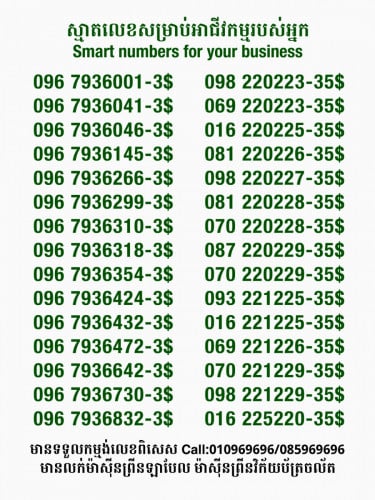 លេខពិសេសសម្រាប់អាជីវកម្ម