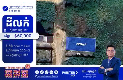 ដីលក់នៅជិតផ្លូវ217