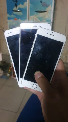 មួយដើម 65000៛