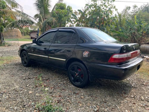 ,លក់កូឡា 96 ឯកសារគ្រប់សិនប្រអប់លេងស្អាតសញ្ជាក់រងា។