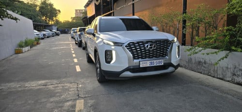 ទើបកាត់បានក្តៅៗPalisade 2020