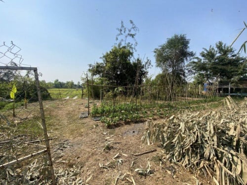 🏦House Available for Urgent Sale at a Special Price (Negotiable).