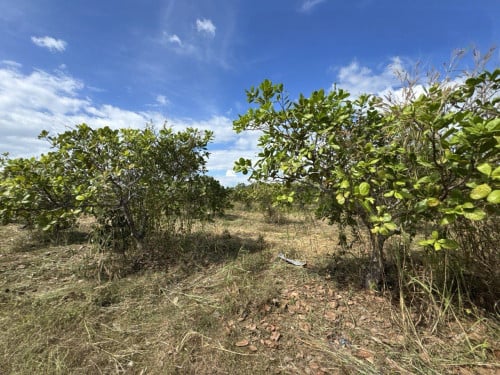 🏦Land Available for Urgent Sale at a Special Price (Negotiable).