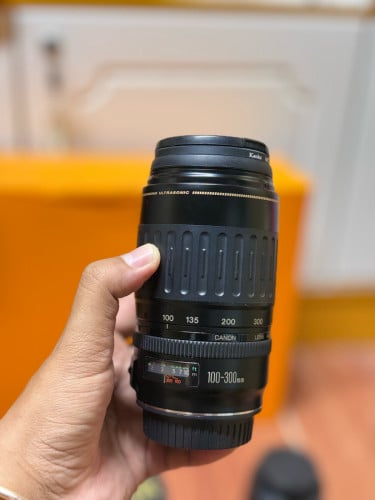 EF 100-300mm ( Zoom lens )
