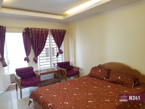 N341 | Furnished Studio Apartment For Rent With Private Balcony in BKK3 For Rent