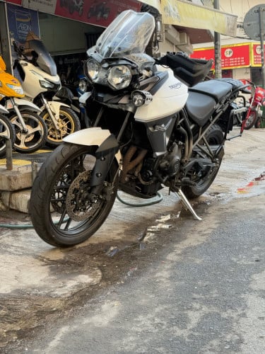 TRIUMPH. 2008. ក្រដាសពន្ធ